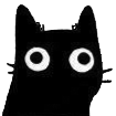 derpcat